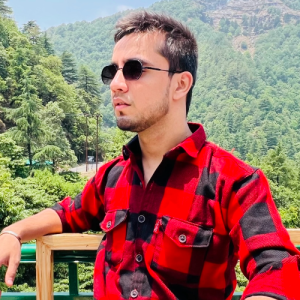 Ismail Malik-Freelancer in Delhi,India