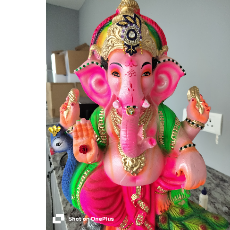 Neelu Singh-Freelancer in Gorakhpur,India