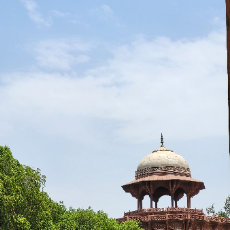 Dev-Freelancer in Kozhikode,India