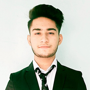 Satyam Gupta-Freelancer in raipur,India