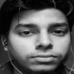 DHARMESH BRIJKISHOR GUPTA-Freelancer in Bilimora,India