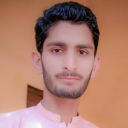 Malik Junaid-Freelancer in Multan,Pakistan