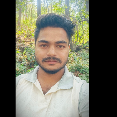 Jitendra Parida-Freelancer in Barbil Keonjhat Odisha...,India