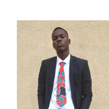 Ezedionah Nelson Chibuzor-Freelancer in Enugu,Nigeria