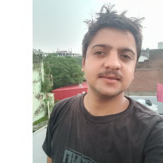 Santosh Painuly-Freelancer in Selakui,India