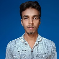 Anwar Sk-Freelancer in Malda Division,India