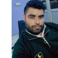 Ashish Sharma-Freelancer in Bijnor,India