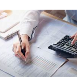 CA Ajna-Freelancer in Ludhiana,India
