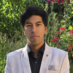 Sanjay Adhikari-Freelancer in Phool Chaur,India