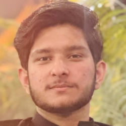 Hamza Ali-Freelancer in Wah,Pakistan
