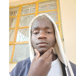 Bravin Ratemo-Freelancer in Nairobi,Kenya