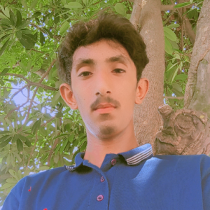 Husnain Minhas-Freelancer in Gujranwala,Pakistan