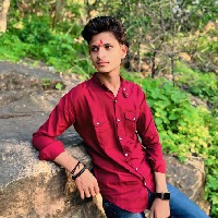 Neetesh Dubey-Freelancer in Jabalpur Division,India