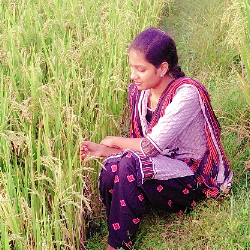 Swathi Kumar-Freelancer in Coimbatore,India
