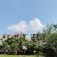 Sabita Sharma-Freelancer in Meerut Division,India