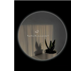 Alishah-Freelancer in Harīpur,Pakistan