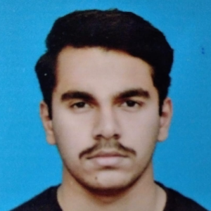 Muhammad Taha-Freelancer in Islamabad,Pakistan