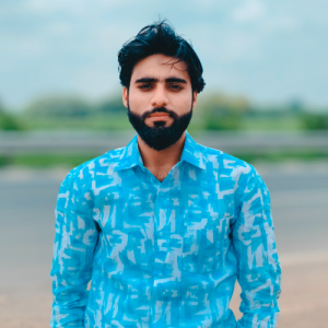 Mushraf Nizami-Freelancer in Barnagar,India