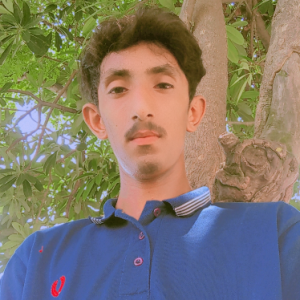 Husnain Ali-Freelancer in Gujranwala,Pakistan