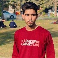 Rana Taimur-Freelancer in Chak 39/3.R,Pakistan