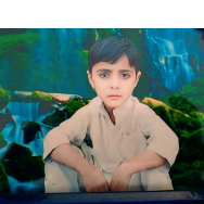 Zamin Abbas-Freelancer in Trag,Pakistan