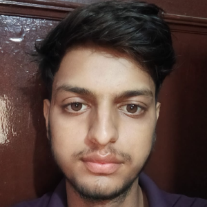 Himanshu-Freelancer in Pathankot,India