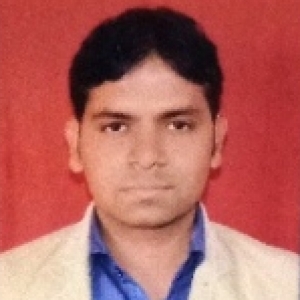 Vivek Kumar Garg-Freelancer in muzaffarnagar, uttar pradesh,India