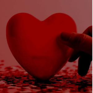 farheen quasim-Freelancer in bhagalpur,India