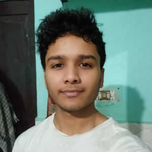 Vansh Baswal-Freelancer in New Delhi,India