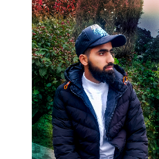 Kaisir Zargar-Freelancer in Srinagar,India