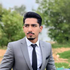 Muhammad Hamid-Freelancer in Faisalabad,Pakistan