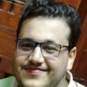 Michael Sedrak-Freelancer in Cairo,Egypt
