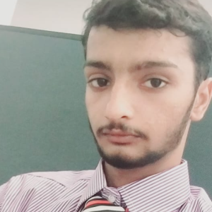 Muhammad Mubeen-Freelancer in Multan,Pakistan