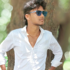 Mohd Tarique-Freelancer in Varanasi,India