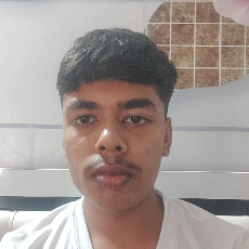 Piyush Verma-Freelancer in Barwala,India