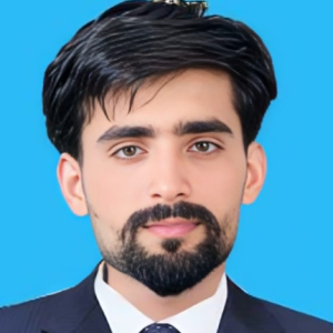 Malik Arsalan Ali-Freelancer in Hassan Abdal,Pakistan