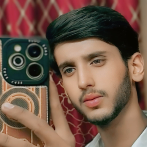 Wajihulhassan-Freelancer in Gujrat,Pakistan