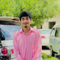 Moiz Mughal-Freelancer in Muzaffarabad,Pakistan