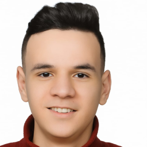 Fathy_Adel-Freelancer in Egypt,Egypt