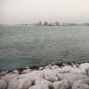 Meer Patel-Freelancer in Doha,Qatar
