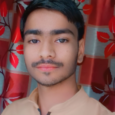 Ayush Shivkumar Gour-Freelancer in Gwalior Division,India