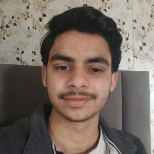 Zaid Ali-Freelancer in Dehradun,India