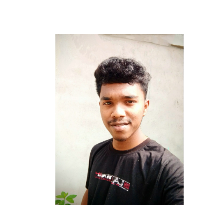 Nilay Banik-Freelancer in Nagaon District,India