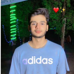 Talal Khan-Freelancer in Pākpattan,Pakistan