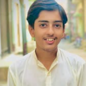 Sajid Ali A-Freelancer in Okara,Pakistan