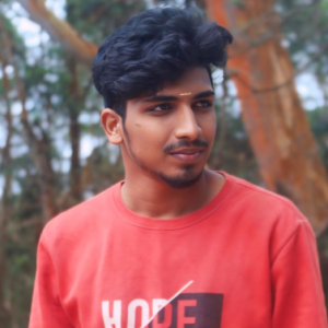 Sreether L-Freelancer in Chennai,India