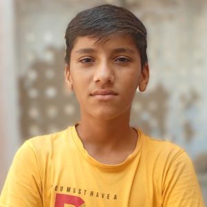 Amit Pareek-Freelancer in Bikaner,India