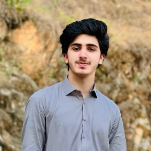 Amir-Freelancer in Peshawar,Pakistan