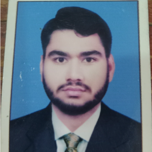 Muhammad Tayyab Hussnain Yasin Yasin-Freelancer in gojra,Pakistan