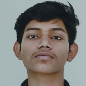 Chan Basha-Freelancer in Vijayawada,India